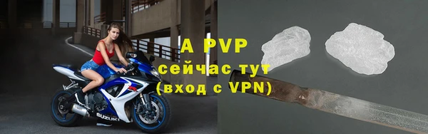 крисы Володарск