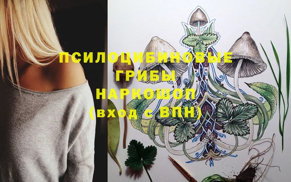 МДПВ Волоколамск